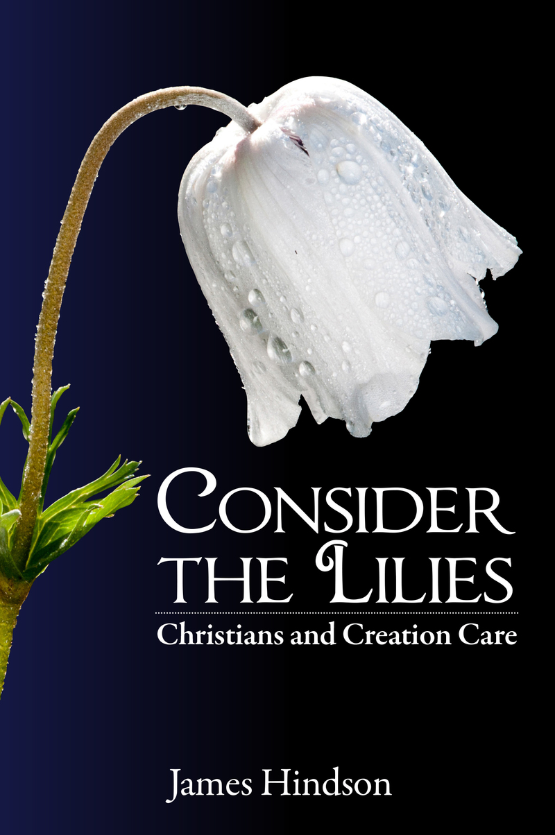 Consider the Lilies: Christians and Creation Care by James Hindson